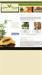 Mobile Screenshot of greenpapayacincinnati.com